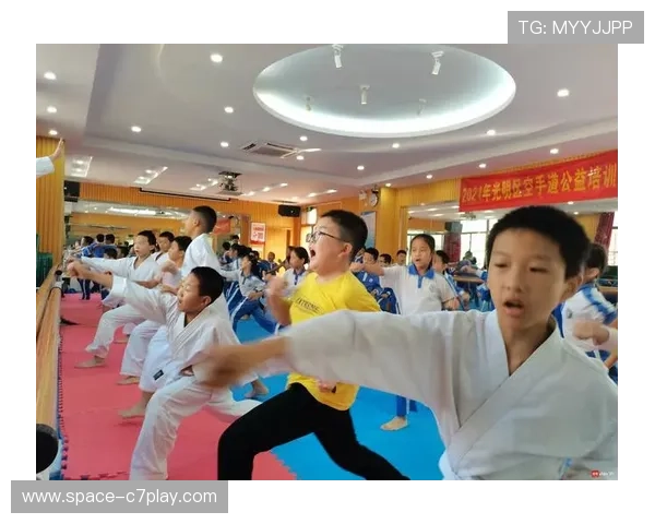 青少年空手道训练以基本功夯实与技术规范化发展为核心路径研究