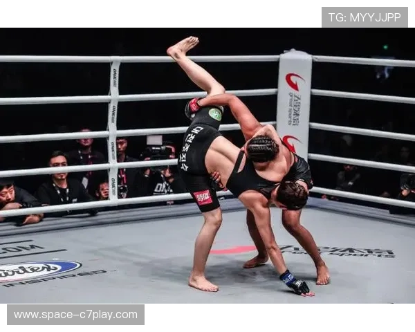 高岩拓转身后蹬重创萨迪肝部强势TKO夺139磅踢拳赛胜利